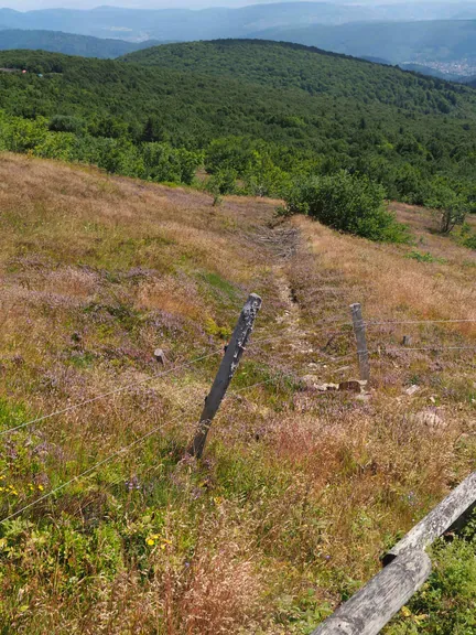 Le Grand Ballon (Frankrijk)